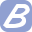 Bruno Vet logo